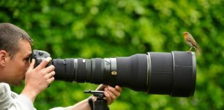 Top Five Great Ideas for Professional Photographs Professional Photographs