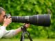 Top Five Great Ideas for Professional Photographs Professional Photographs