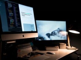 Choosing Professional Web Hosting Web Hosting